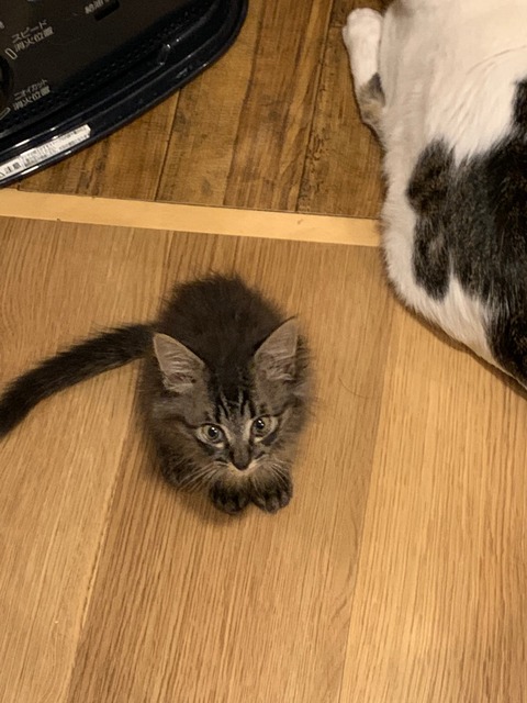 2FB2BCE3-D213-4AF8-95CA-8A6D39D28A03