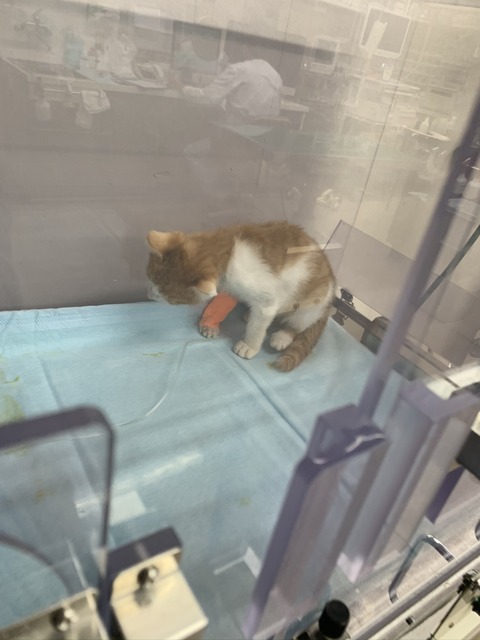 BDE478FB-CE4B-45C3-83F5-58E9D52C1DC6