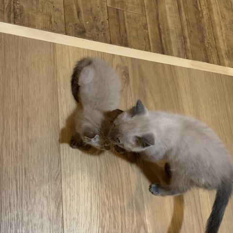 BB3ECCE7-8851-40F1-8E4B-06E9D1C9F9BA