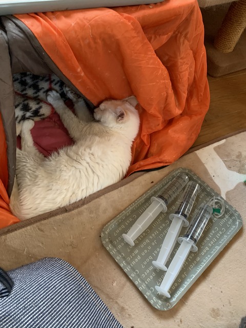 7F47F19C-AD8E-4C6F-A97C-460170F3D09B