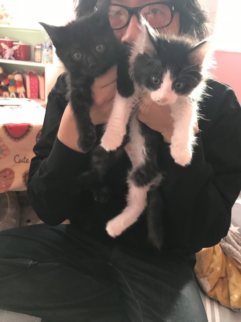 36132240-BA73-4F8E-9FBC-DD010F37F15A