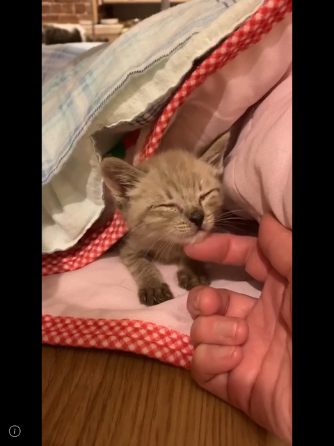 3301E81D-CA03-48A7-B49D-D7044863F678