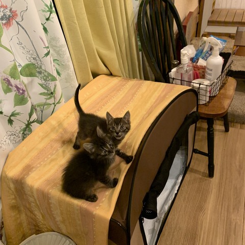 A71C17A9-51F4-43C7-82BC-72F37A4F4468