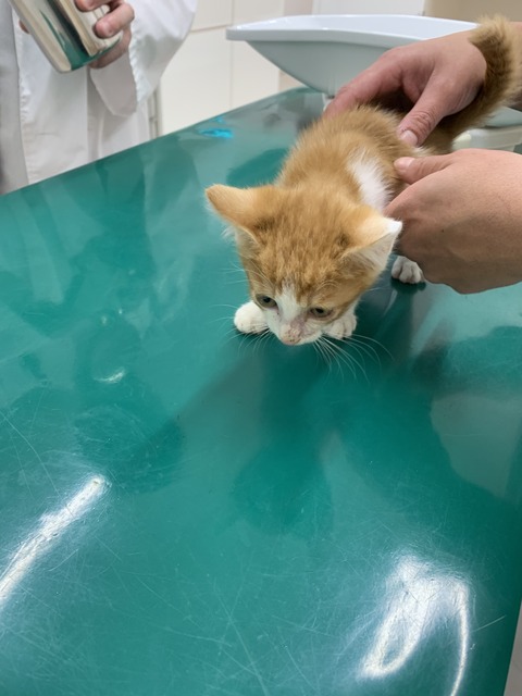 E3AA9F08-138A-407C-A923-F77A1A655FDE