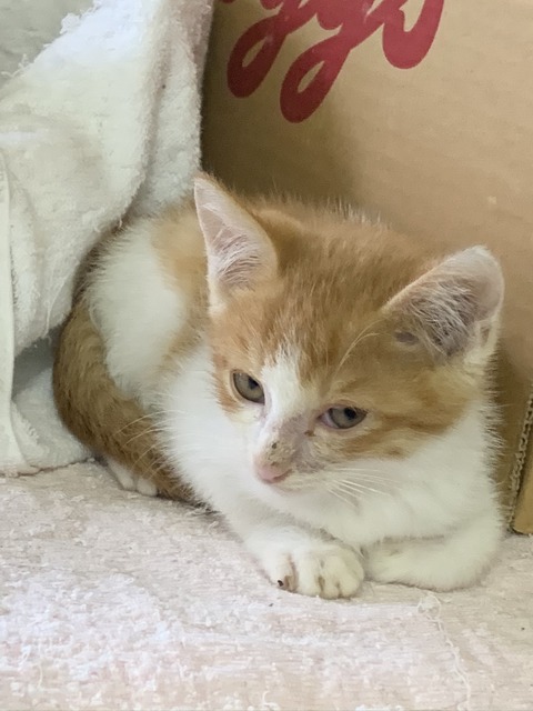 E4405218-3812-40F2-9531-9607436E69C1