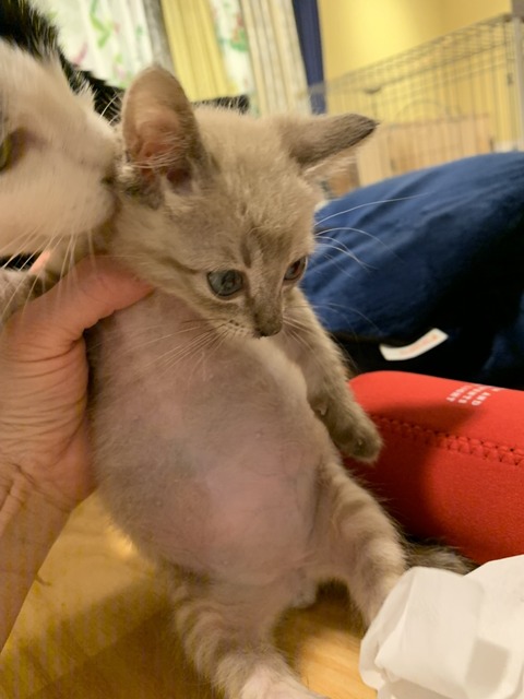 1DFC9B0B-640B-4F99-924F-2F529A4EDCCB