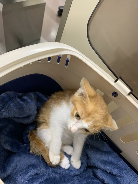 F6450E85-D72E-46A0-89FA-BF89CD0EC96A