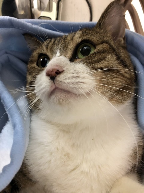 3BCA3DCC-1163-468F-8723-E7ADA68D584F