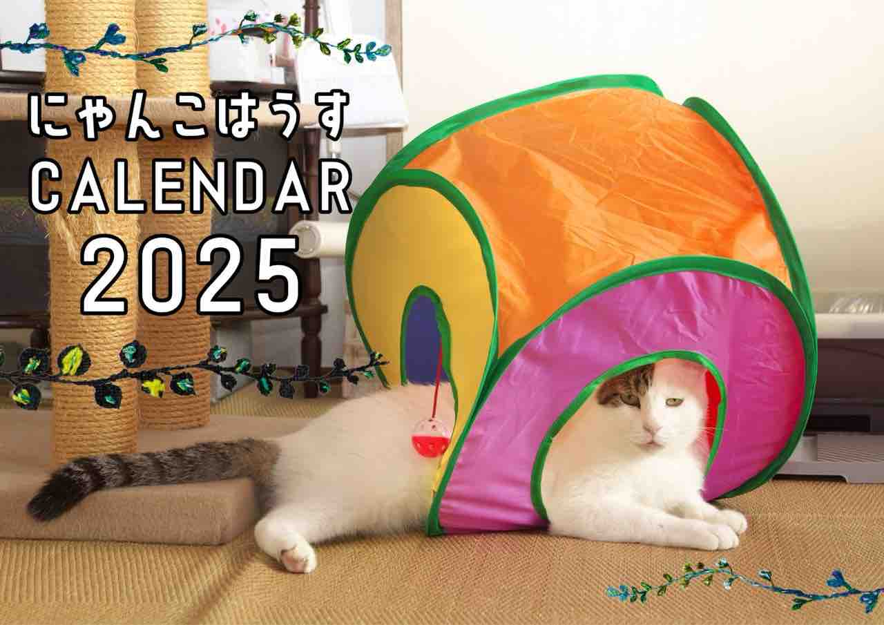 福猫小町オープン : ねこさま王国