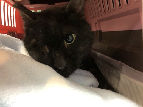 413B97D6-40DB-46B8-80ED-ACFB24667D7B