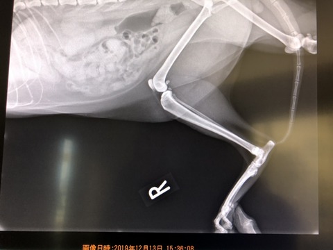 BA300837-E4A3-429A-A762-6448AADA13BB