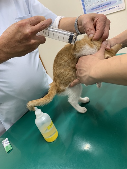 B07E9BEA-7F96-4B29-9A2C-7A4AFCFEE86E