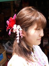 ���ʤǤ���