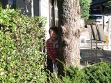 ねね橋