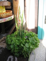 �������С�