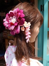 ���ʤǤ���