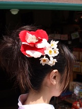 ���ʤǤ���