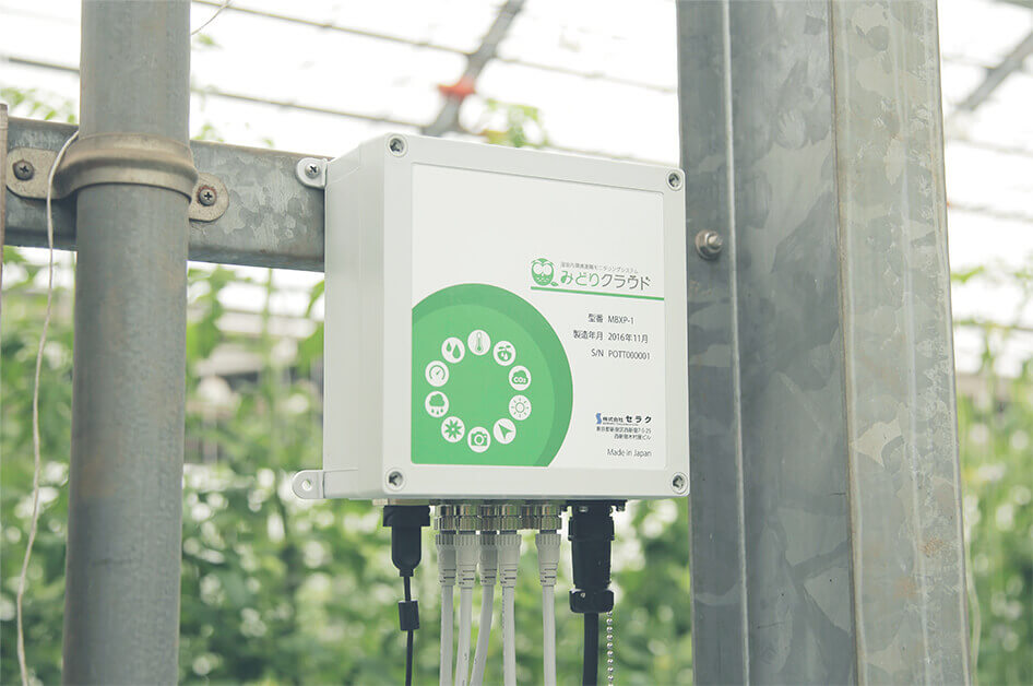 みどりクラウドが欲しい トマト農家の南島原no 1を目指す栽培日誌