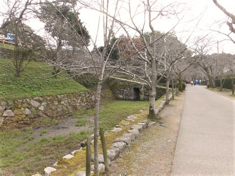CIMG4272 (2)