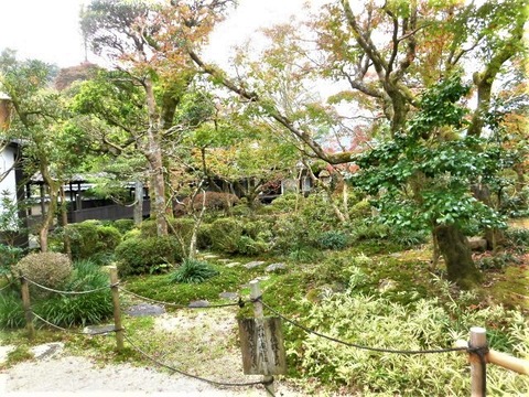 CIMG4307 (3)