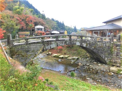 CIMG4321 (3)
