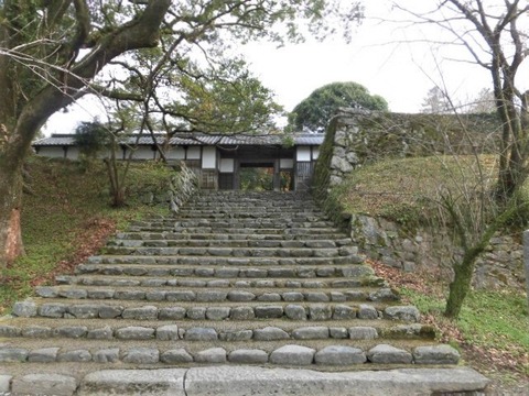 CIMG4274 (3)