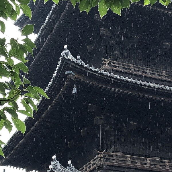 雨の東寺 : 遠き日の忘れもの