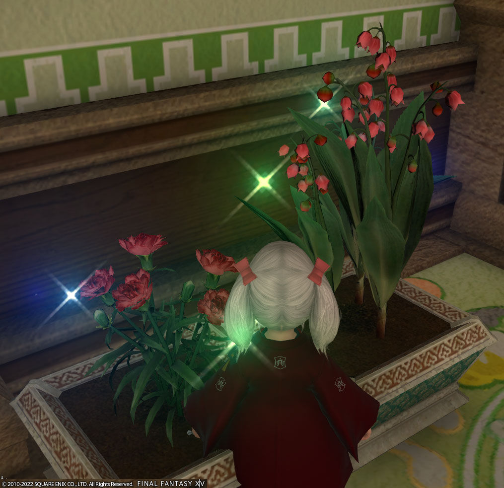 Ff14 おうちのプランターに植えたカーネーションとリリーオブバレーがきれいに咲きましたヾ ﾉ ありさ日記