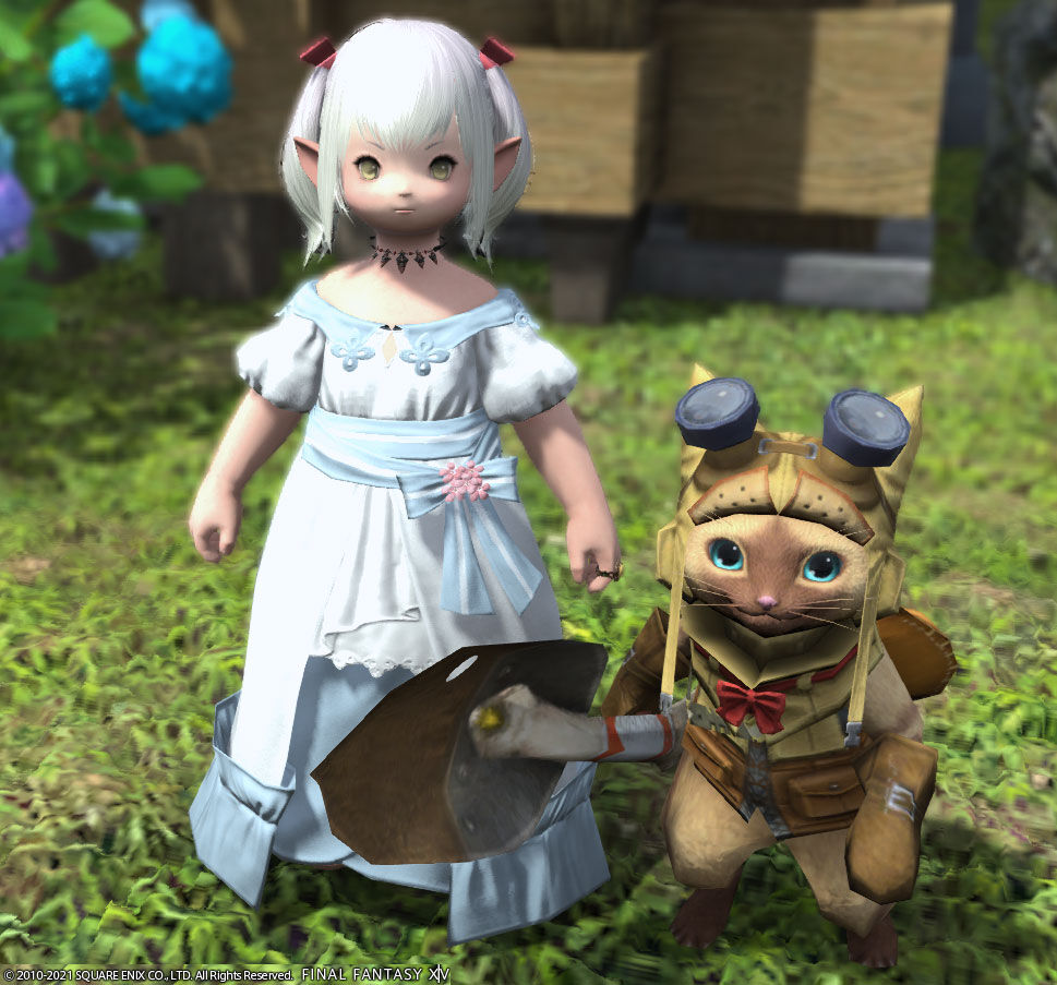 Ff14 アイルーのミニオンをもらいましたーヾ ﾉ レベル７０ ありさ日記