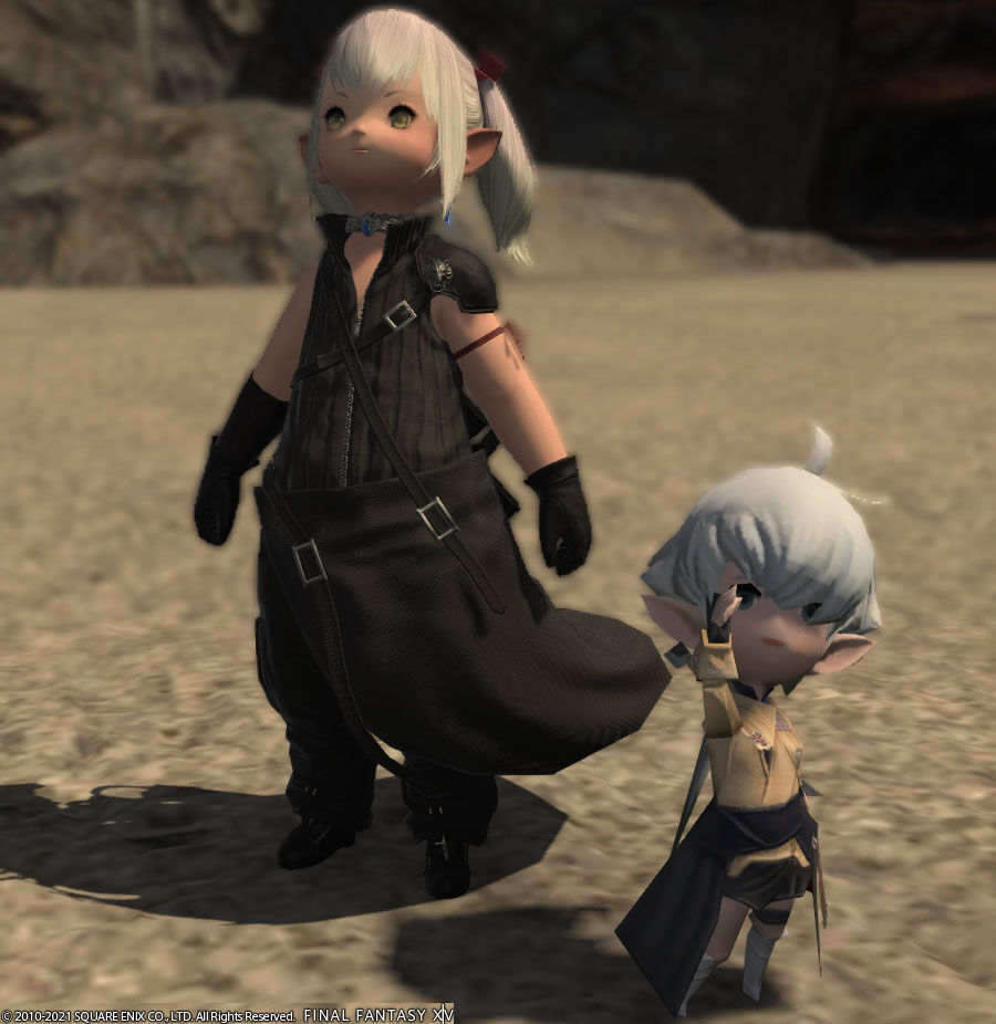 Ff14 ニュー アリゼーのミニオンをゲットしましたーヾ ﾉ ありさ日記