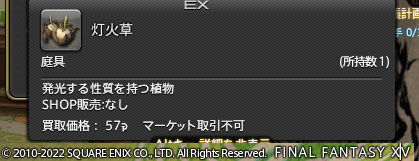 ff0000005340