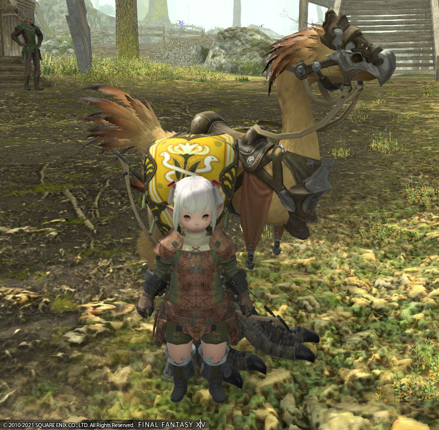 Ff14 マイチョコボがなんと一緒に戦ってくれる バディ レベル30 ありさ日記
