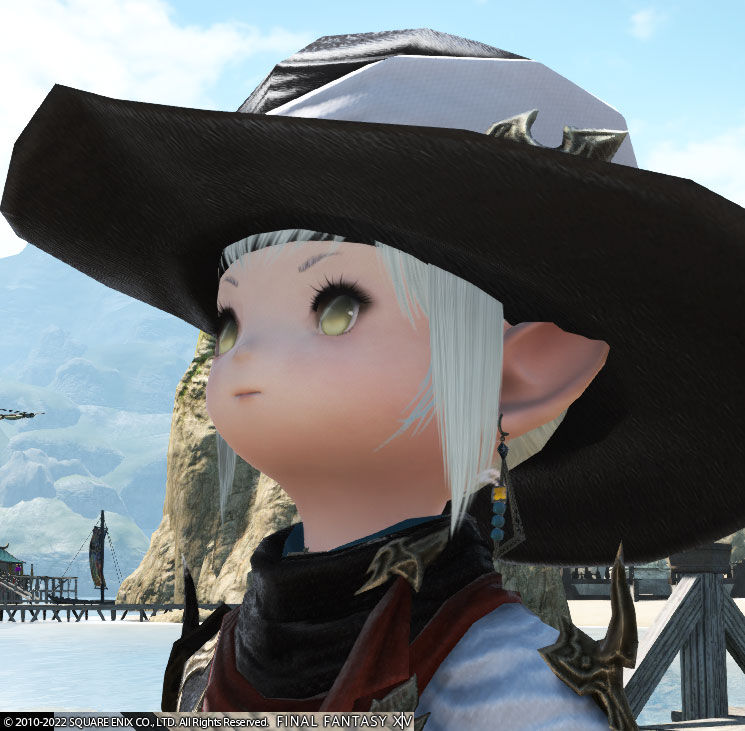 Ff14 遠隔物理ｄｐｓの暁月ロールクエストをやりましたヾ ﾉ レベル８５ ９０ ありさ日記