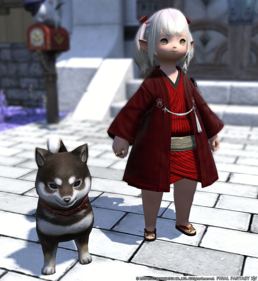 Ff14 ホルミンスターで黒柴のミニオンをもらえましたーヾ ﾉ レベル７１ ありさ日記