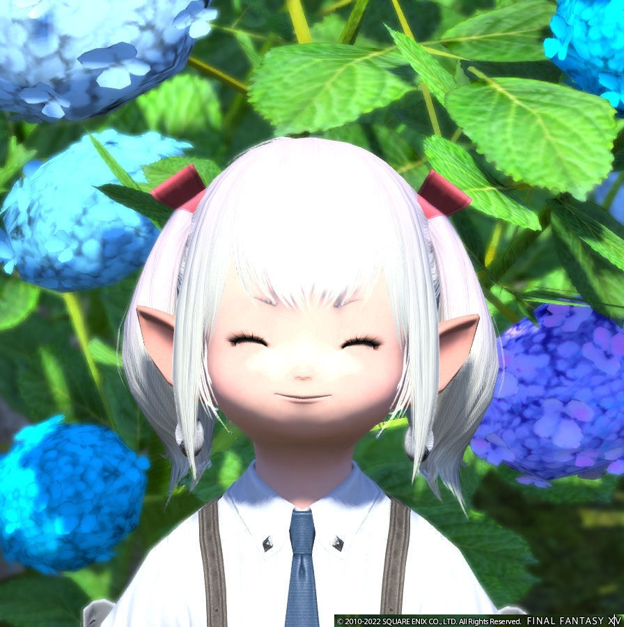 Ff14 忍者がもうすぐ９０になりそうなので忍者の９０戦闘新式装備を作っておきまーすヾ ﾉ レベル９０ ありさ日記