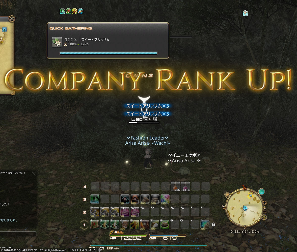 Ff14 ｆｃのカンパニーランクが１１に上がりましたーヾ ﾉ ありさ日記