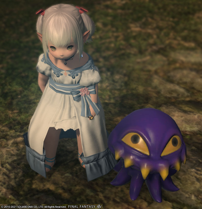 Ff14 マメット オルトロスがとってもかわいいですヾ ノ レベル50 ありさ日記