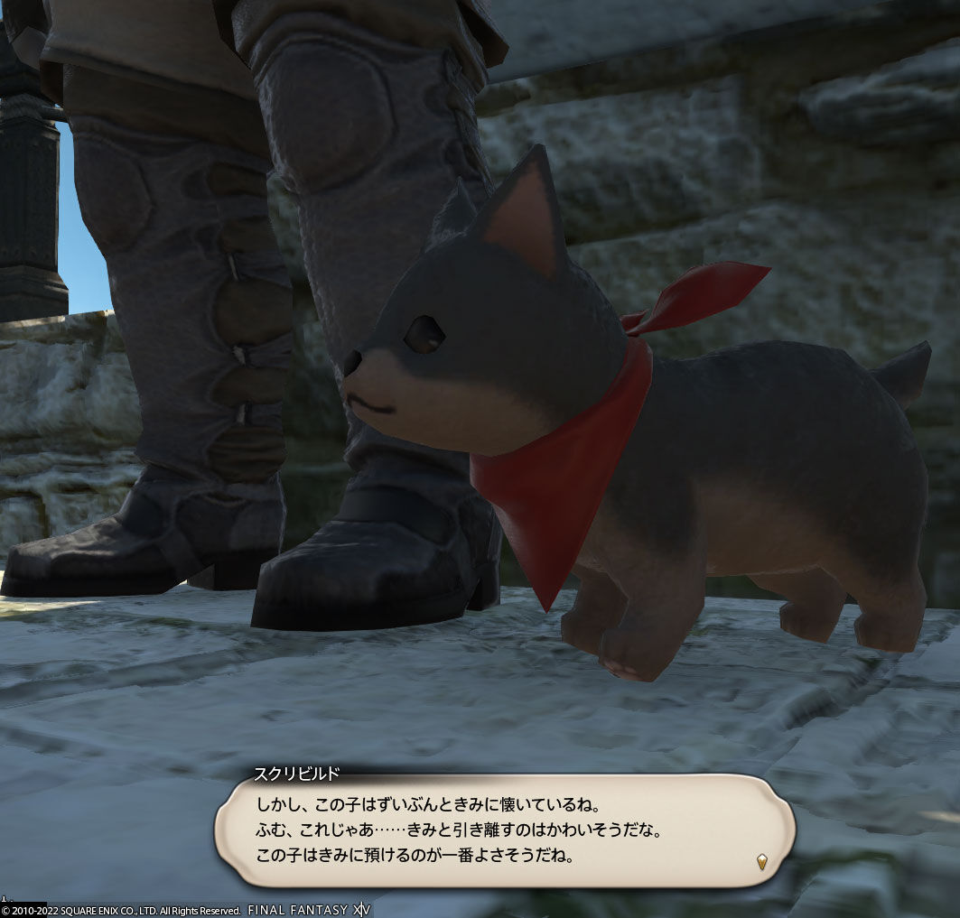 Ff14 エールポートにわんこ 狼 とにゃんこのミニオンを取りにいきましたーヾ ﾉ ウルフ パップ タイニークァール レベル１５ ありさ日記