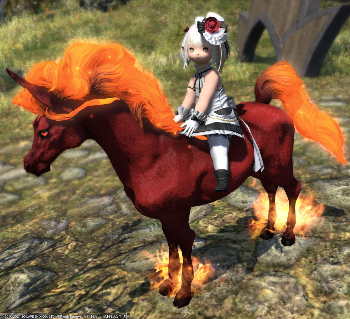 Ff14 アイトーンのマウントをもらいましたーヾ ノ レベル50 ありさ日記 Ff14 アイトーンのマウントをもらいましたーヾ ノ レベル50 ありさ日記