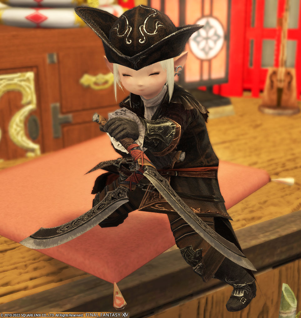 Ff14 忍者の冒険録 漆黒編を使って双剣士を忍者にしてみましたーヾ ﾉ レベル８０ ありさ日記