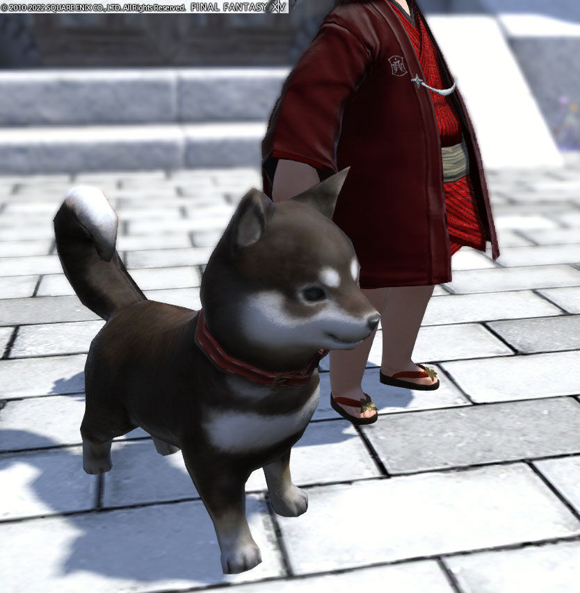 Ff14 ホルミンスターで黒柴のミニオンをもらえましたーヾ ﾉ レベル７１ ありさ日記