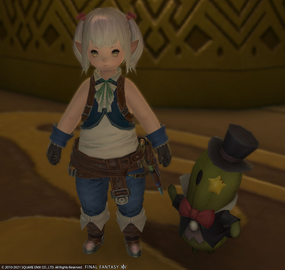 Ff14 セニョリータ サボテンダーのミニオンを交換しましたヾ ﾉ ありさ日記