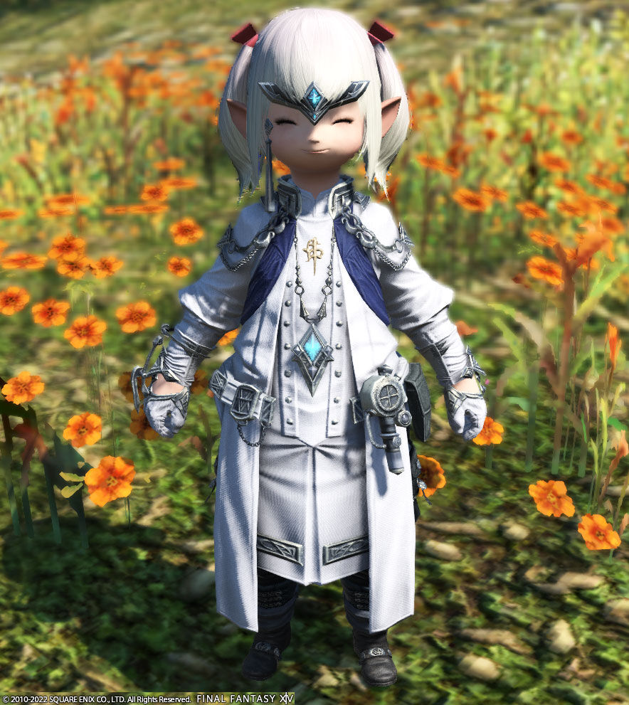 Ff14 賢者がレベル８９にレベルアップしましたヾ ﾉ ８９ａｆ装備をもらってきて着せましたヾ ﾉ レベル８９ ありさ日記