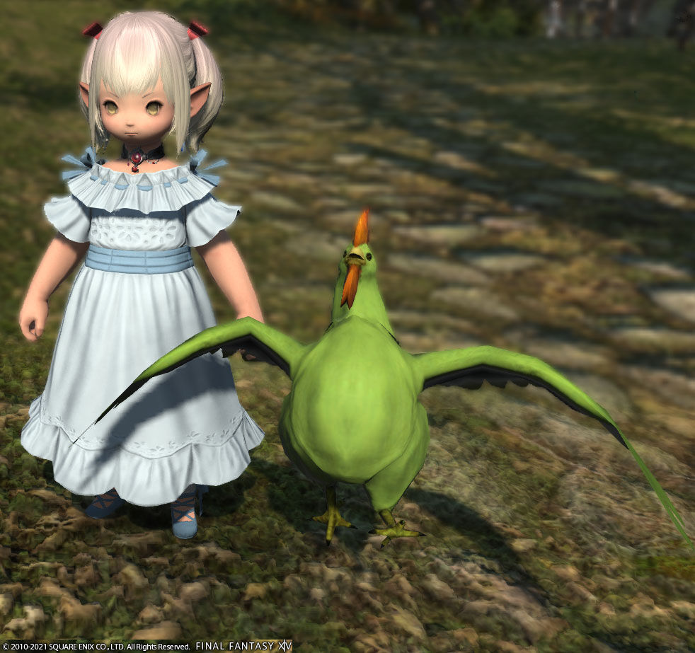 Ff14 エンキドゥのミニオンをもらいましたーヾ ノ レベル50 ありさ日記