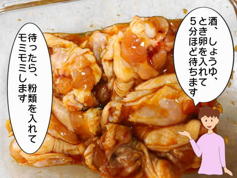 reフライドチキンイラスト (2)