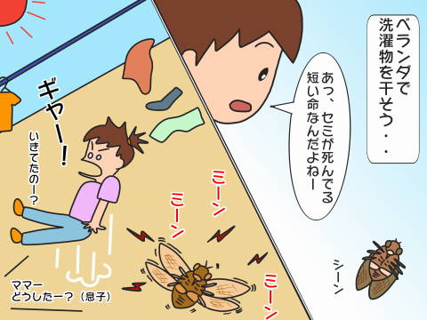 re-せみ