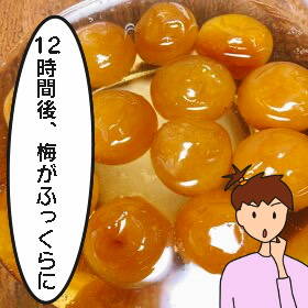 re梅 (3)