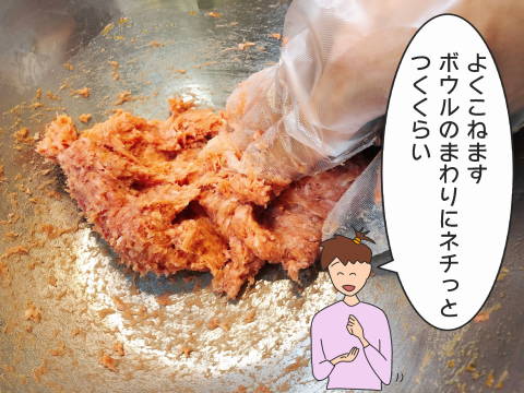 re1-10シュウマイ (5)