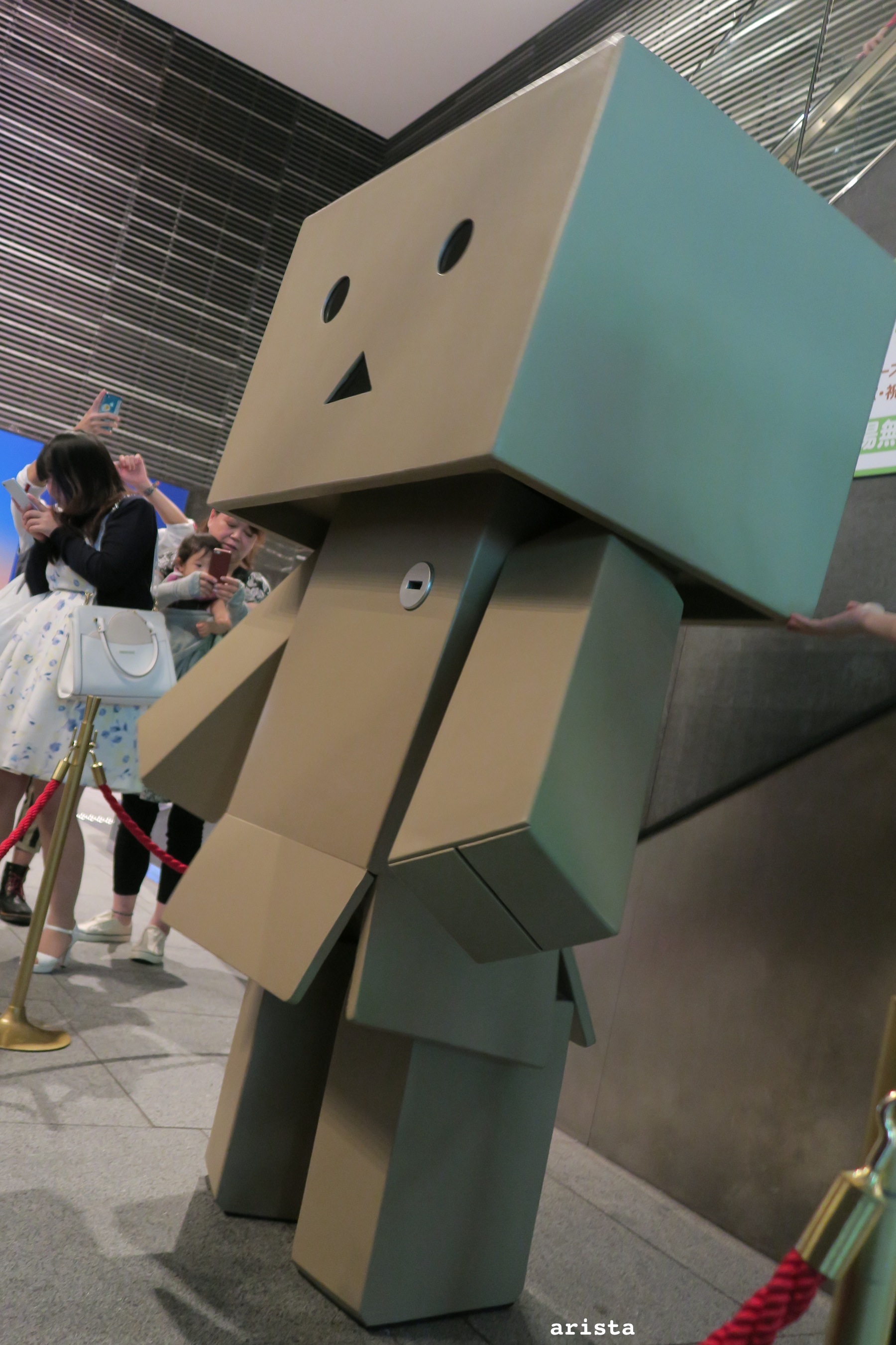 ダンボー写真展東京ソラマチ さかふぉと ダンボー写真展東京ソラマチ さかふぉと