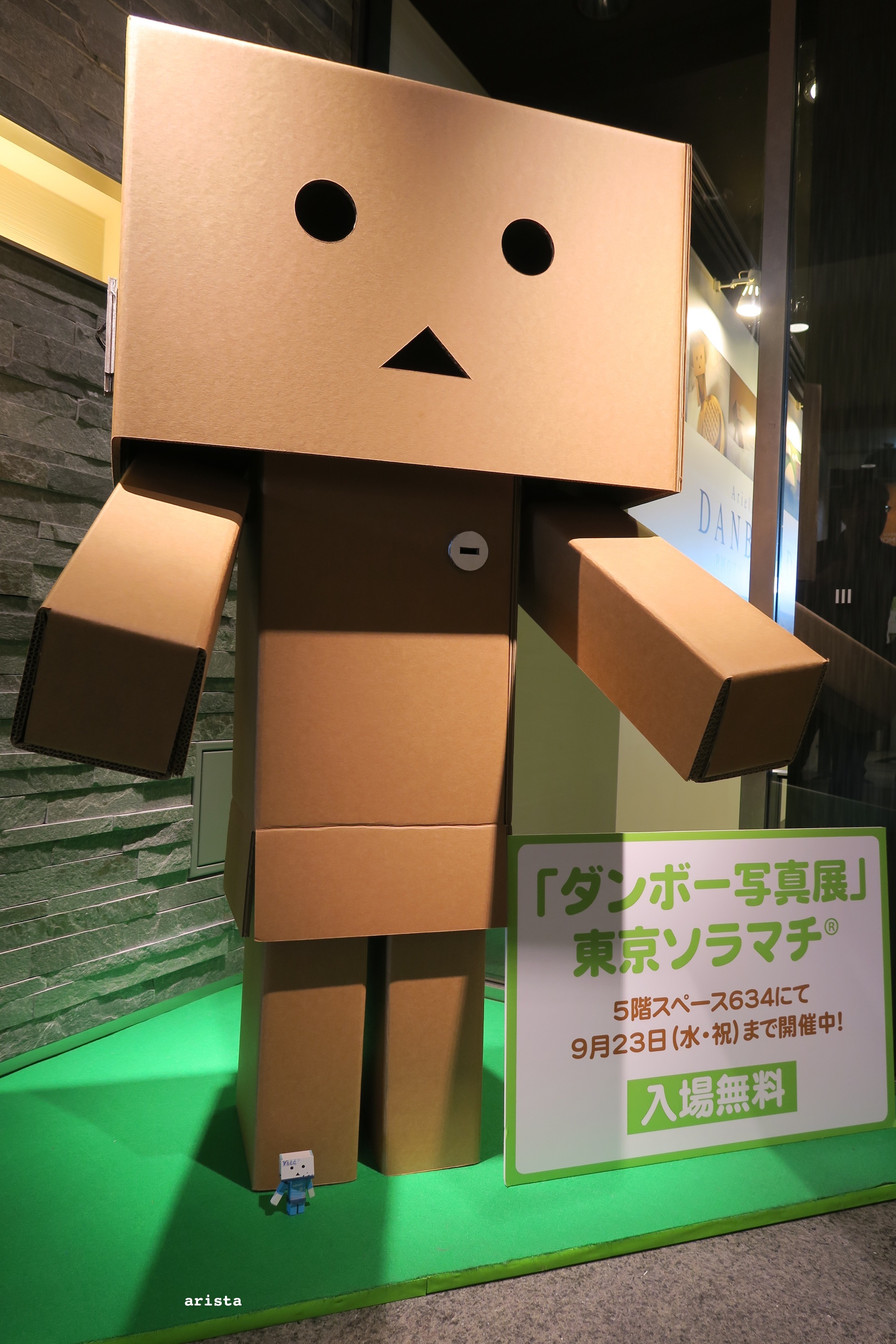 ダンボー写真展東京ソラマチ さかふぉと ダンボー写真展東京ソラマチ さかふぉと